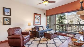 Smart TV, chimenea, libros