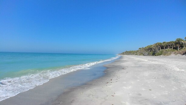Ein Strand mit klarem, blauem Wasser, sandigem Ufer und einer Baumreihe im Hintergrund.