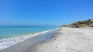 Een strand met helderblauw water, een zandstrand en een rij bomen in de verte.