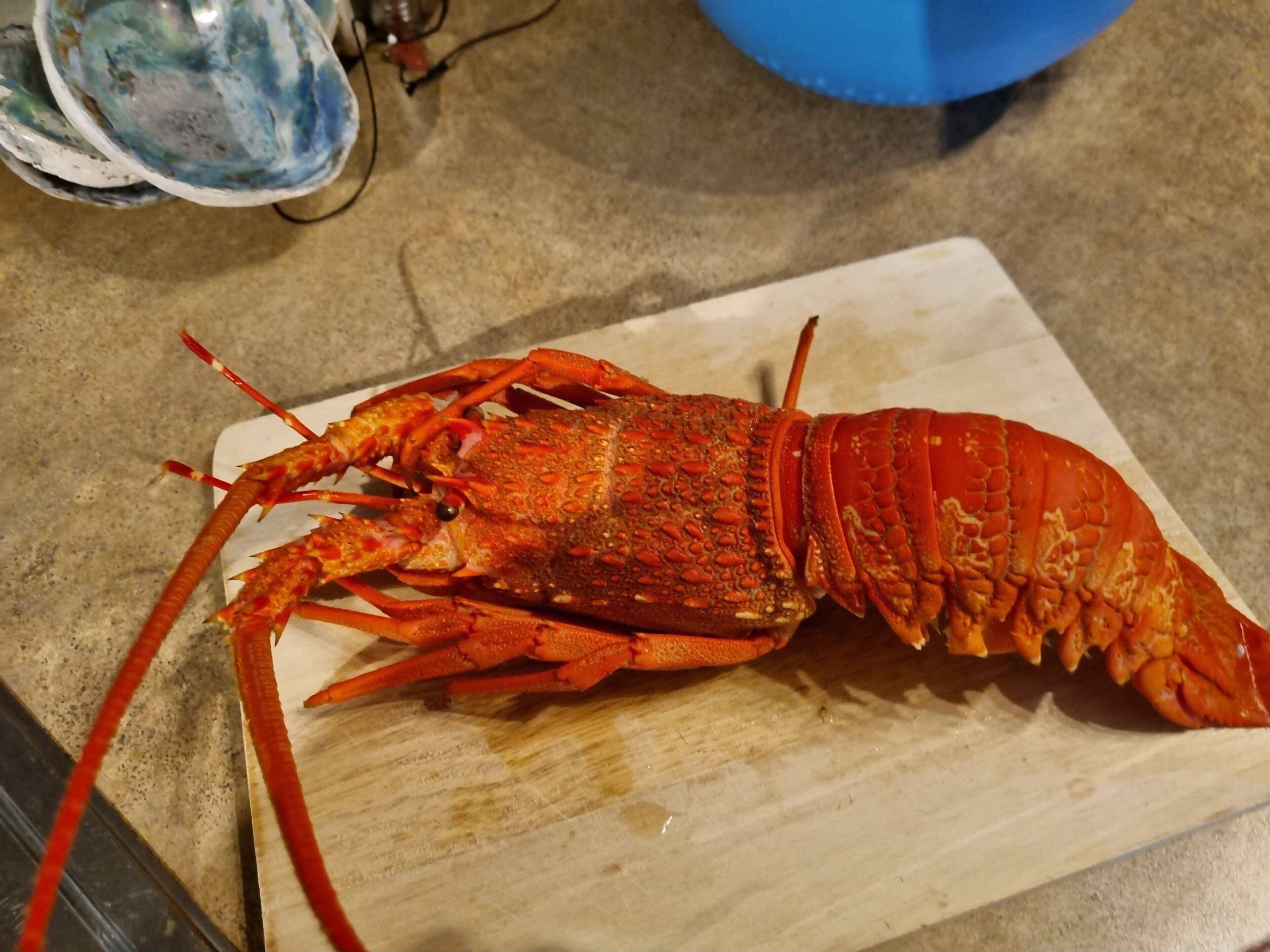 A lobster on a wooden cutting board.