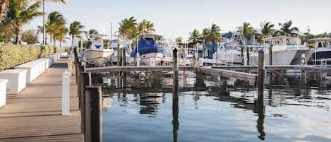 Marina