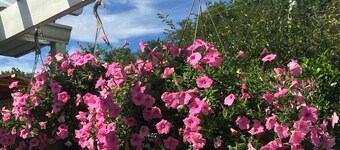 Mountain View Bed & Breakfast...Fresh air, and a Relaxing time in the mountains