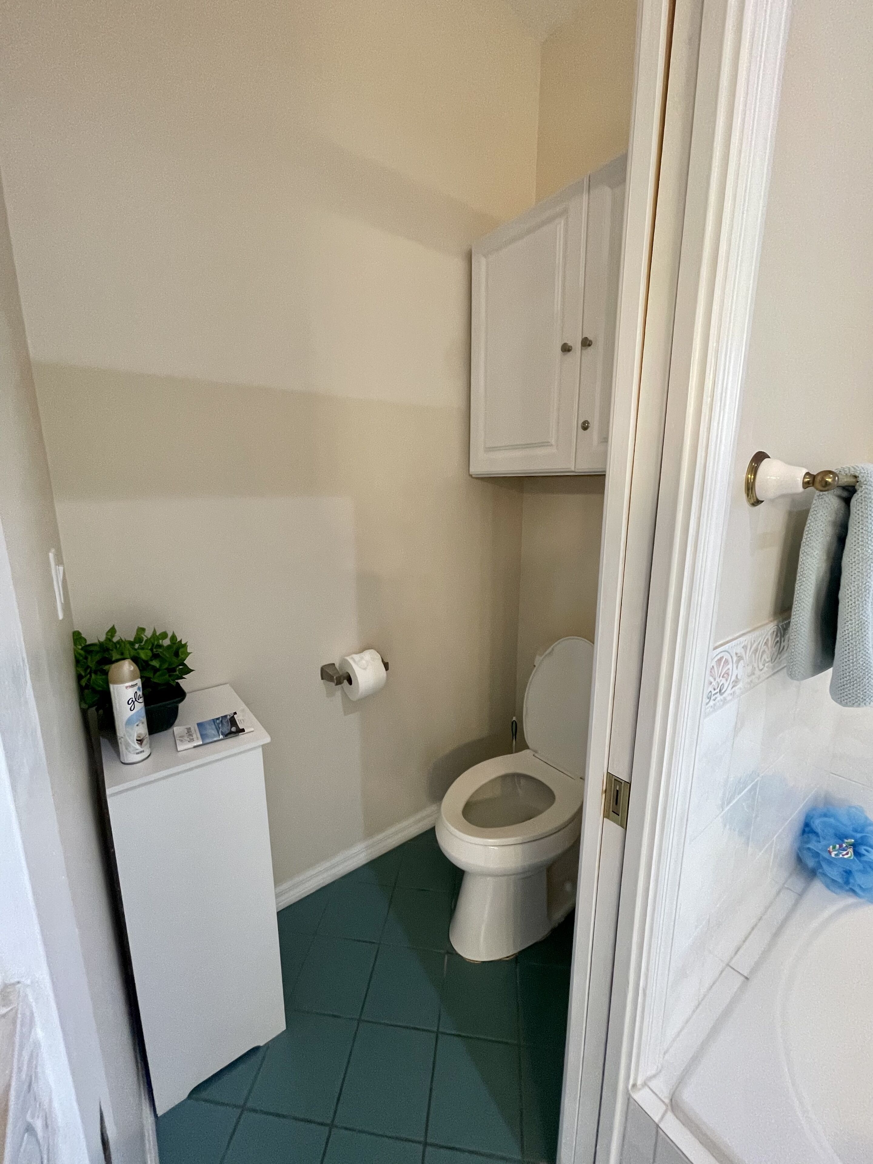 A small bathroom with a toilet, a cabinet above it, and a small shelf with a plant and a bottle.