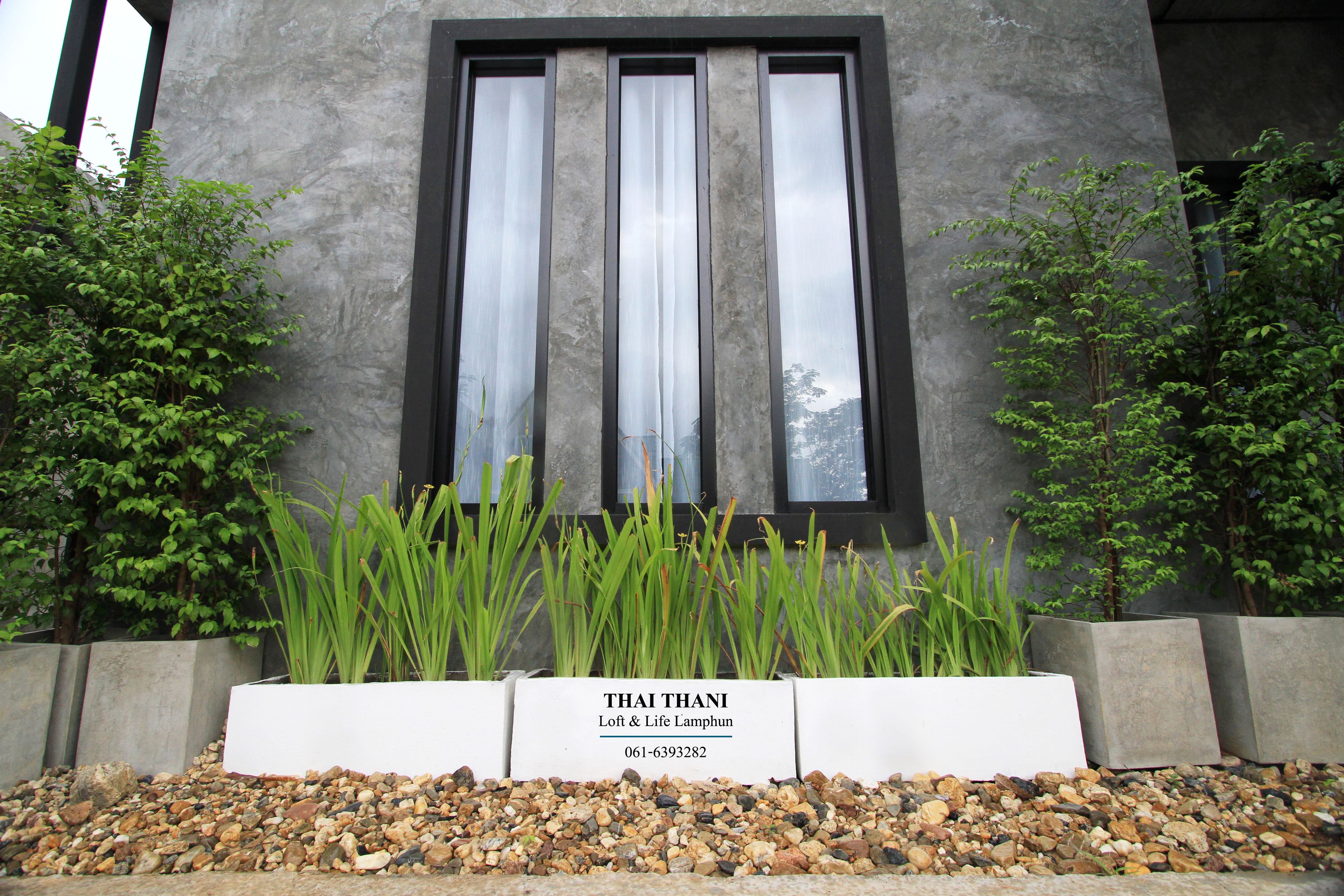 A building facade with a window, a sign reading "THAI THANI Loft & Life Lamphun 061-6393282", and plants in front.