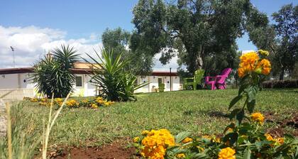 Agriturismo Terra D'Ulivi
