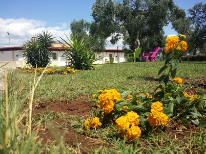 Agriturismo Terra D'Ulivi