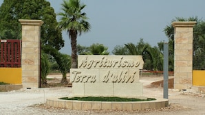 Une enseigne portant l’inscription  « Agriturismo Terra d’ulii », entourée de palmiers et adossée à un mur jaune.