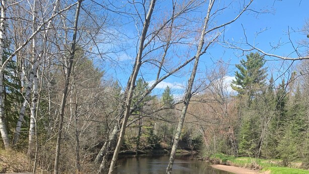 A wooden dock extending into a calm river surrounded by trees. - Bearadise On the Thornapple River (Ladysmith)