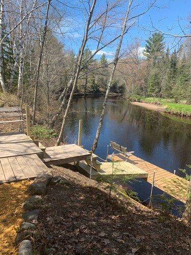 Bearadise On the Thornapple River