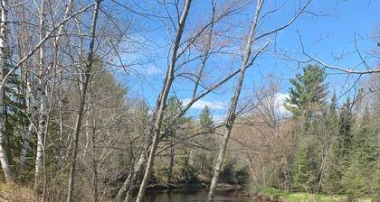 Bearadise On the Thornapple River
