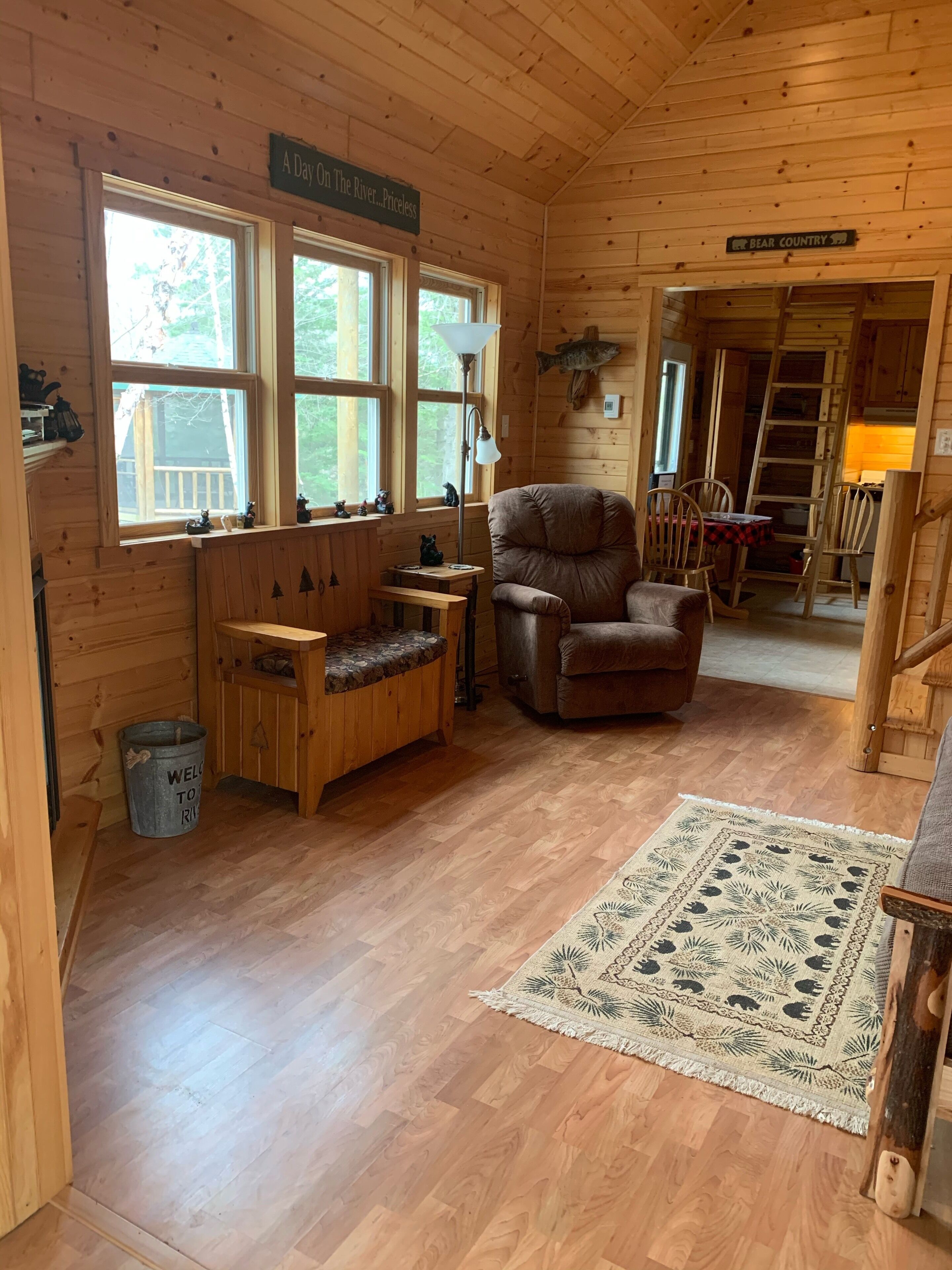 TV, fireplace, DVD player, books