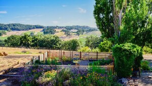 Un jardín con jardineras elevadas, una valla de madera y diversas plantas.