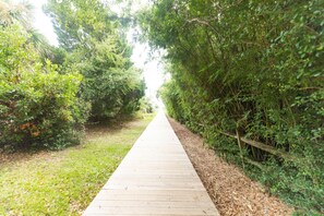 Un sendero de madera bordeado de abundante vegetación y una valla de madera.
