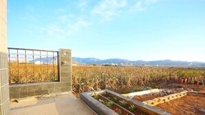 Une terrasse offrant une vue sur un champ de maïs et des montagnes lointaines.