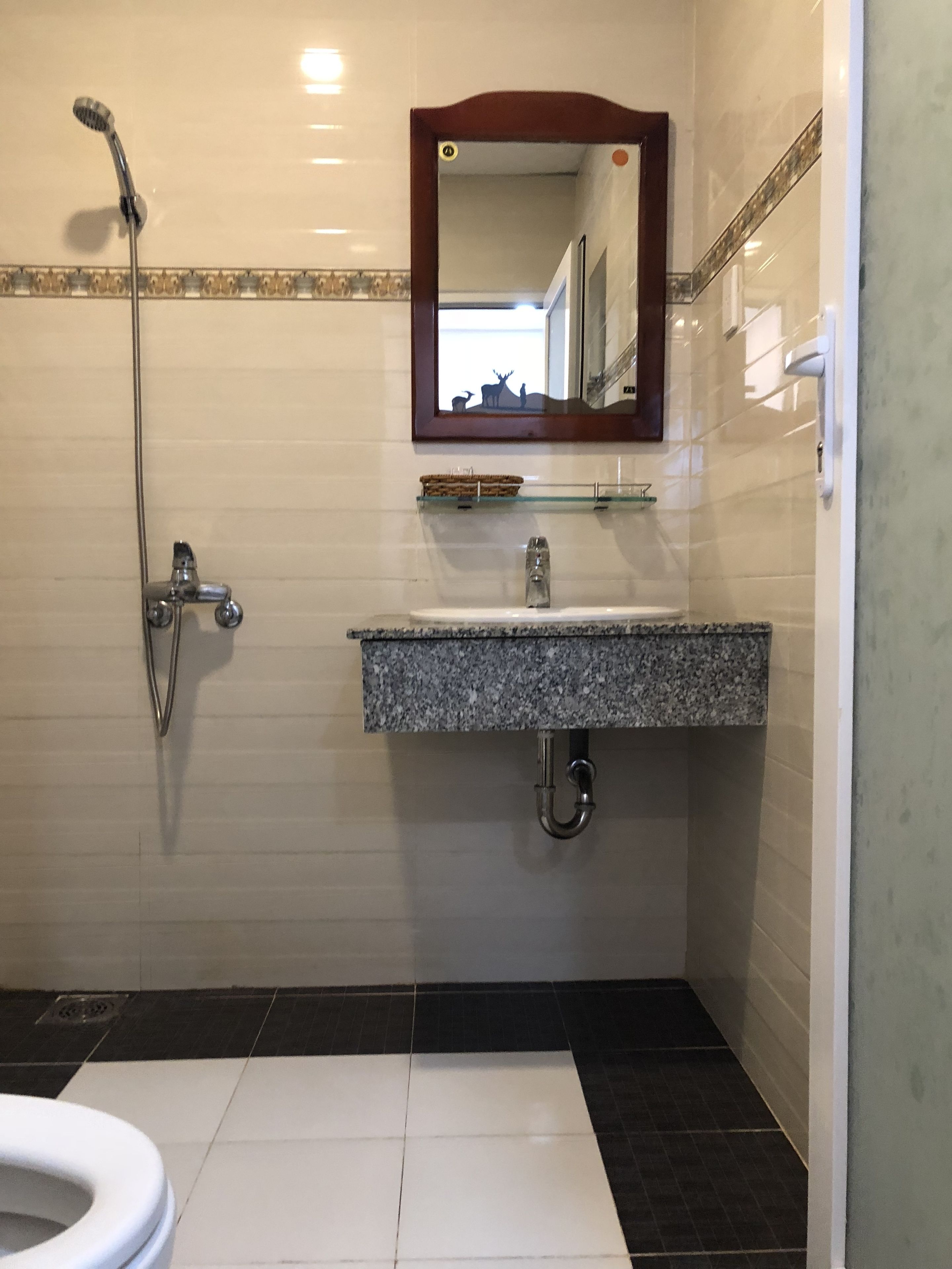 A bathroom with a white toilet, a granite sink, a mirror, and a shower.
