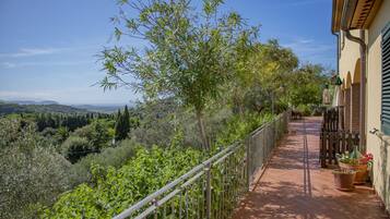 Apartment, 1 Bedroom, Balcony | Balcony view