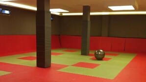 Una habitación con alfombras rojas y verdes en el suelo, una pelota grande gris y columnas acolchadas.