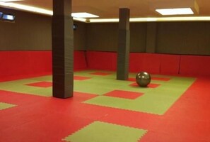 Un salón de entrenamiento con colchonetas rojas y verdes, una pelota metálica y pilares.