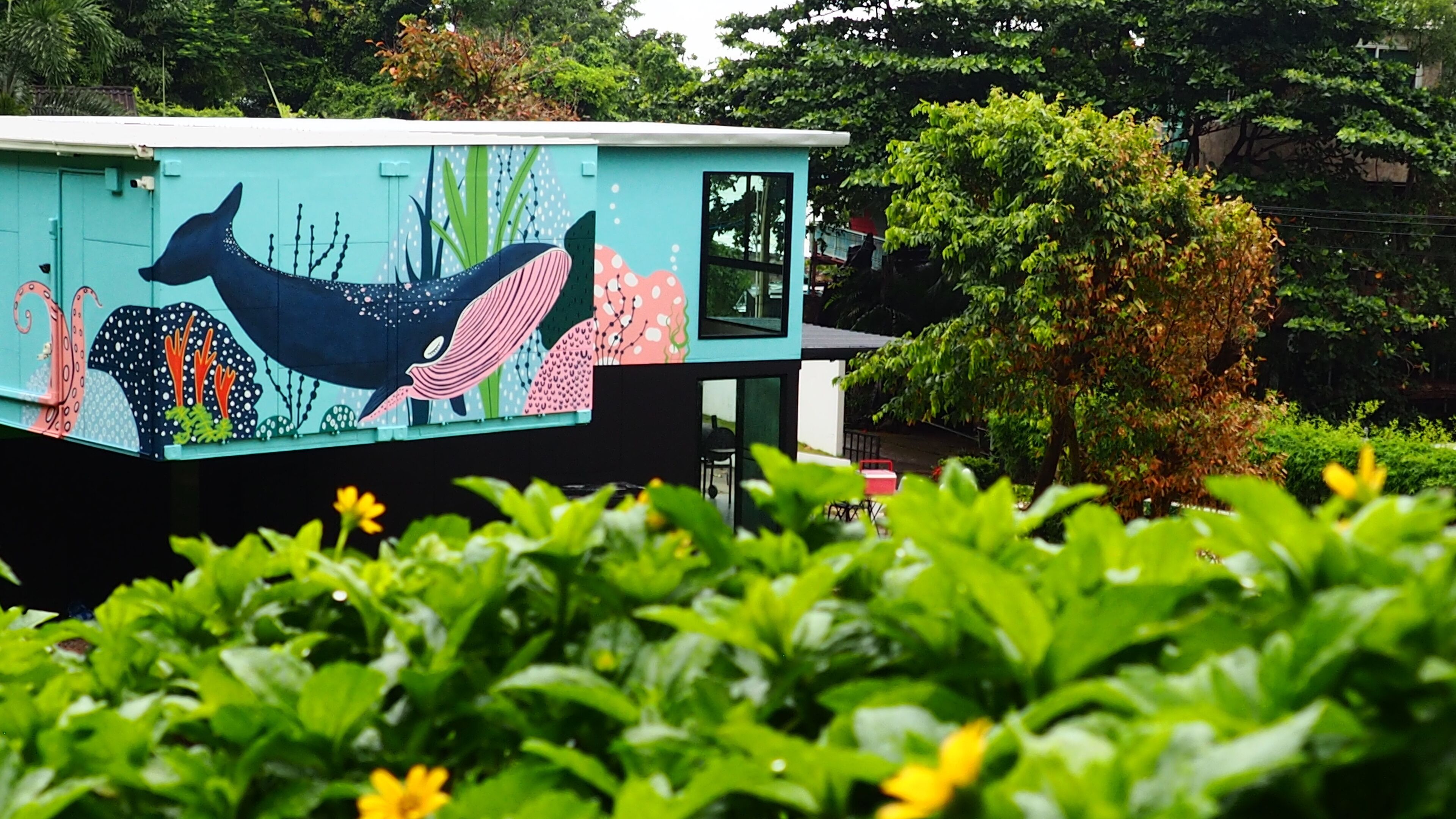 Un bâtiment aux couleurs vives, orné d’une fresque représentant une baleine et des plantes.