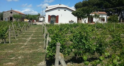 Serra E Mesu