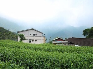 Property grounds - Deren Tea Garden B&B (Meishan)
