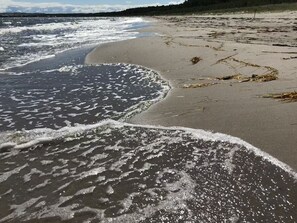 A beach with waves gently lapping onto the shore, seaweed scattered across the sand, and a forested area in the background. - Gasthaus & Pension Zur Schaabe (Glowe)