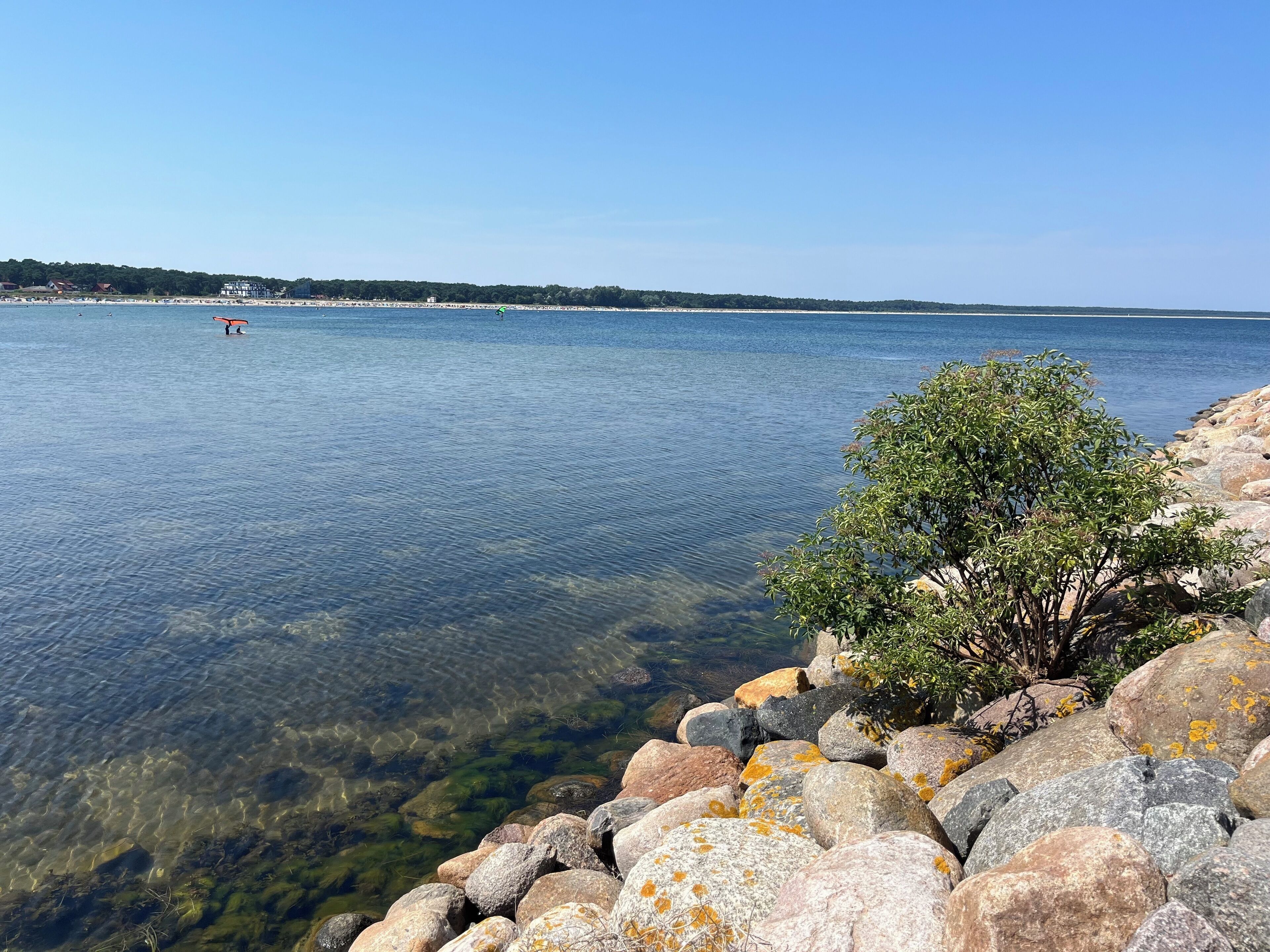A clear view of a rocky shoreline with a tree in the foreground and a calm body of water extending to the horizon.