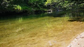 Um rio transparente com margem arenosa e vegetação verde densa ao fundo.