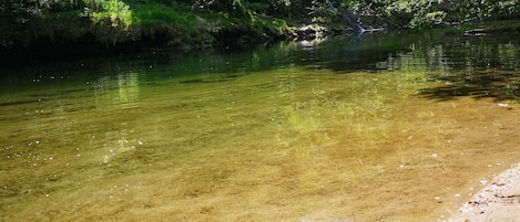 A clear river with a sandy bank and dense green foliage in the background.