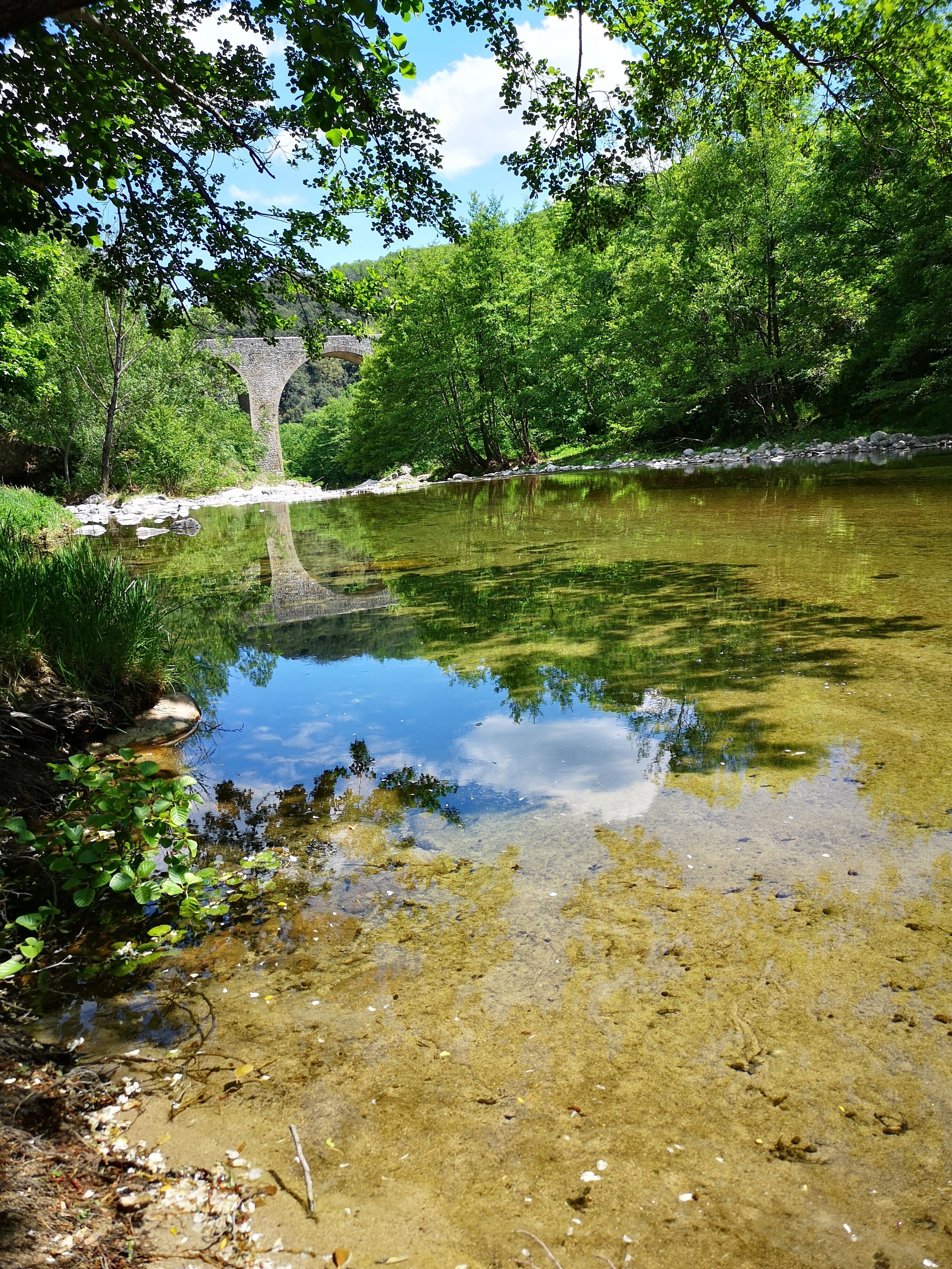 Un río cristalino con un puente de piedra al fondo, rodeado de abundante vegetación.