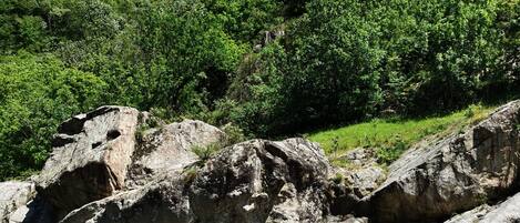 Un paysage naturel caractérisé par un ruisseau aux eaux claires, un terrain rocheux et une forêt verdoyante et dense.