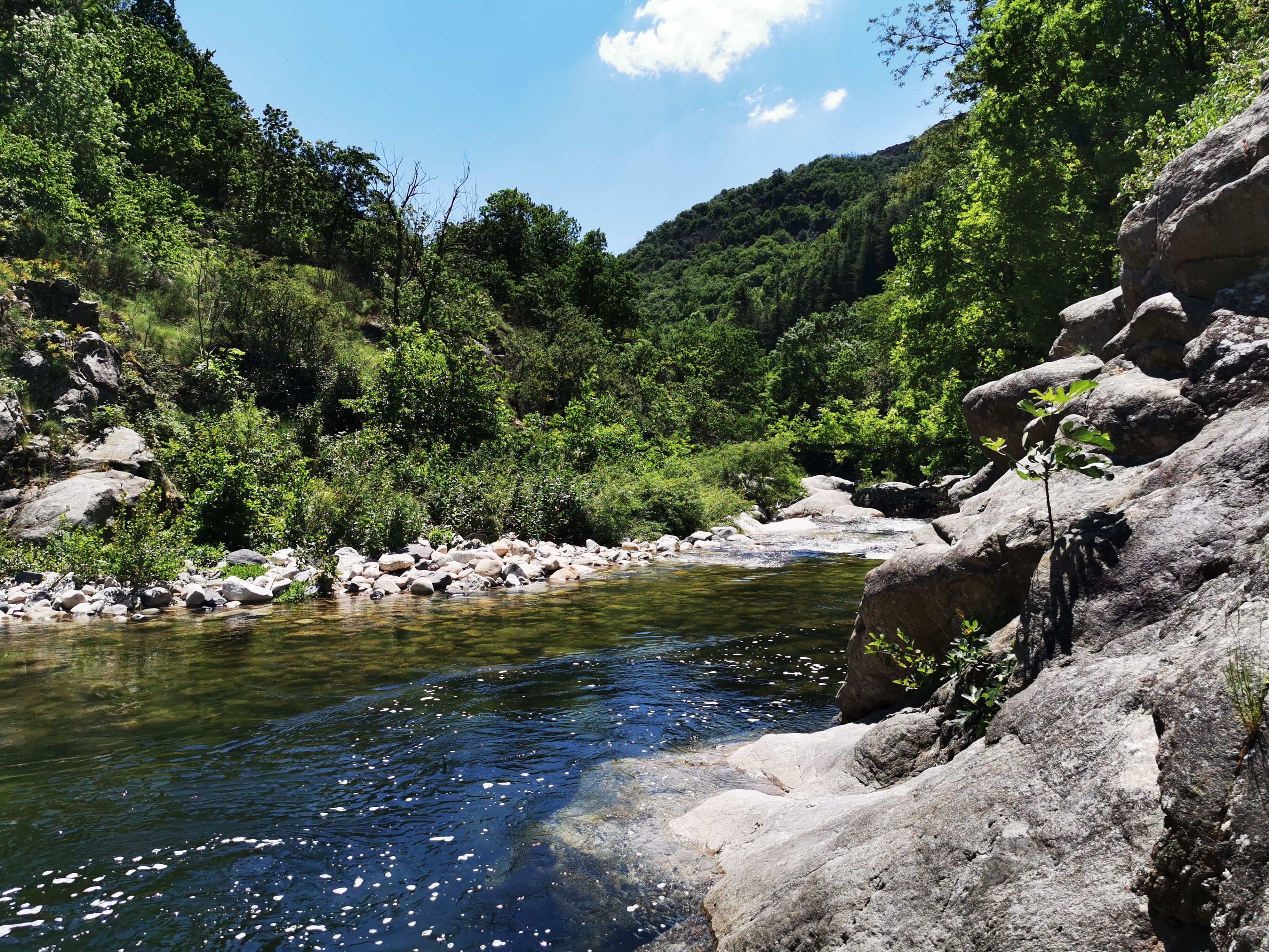 A river flowing through a rocky landscape with dense greenery.
