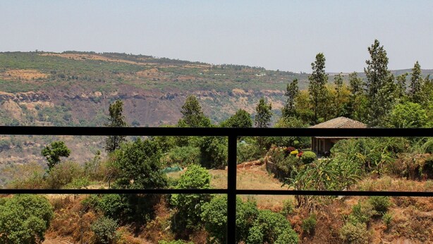 A rural landscape with a house surrounded by trees and vegetation.