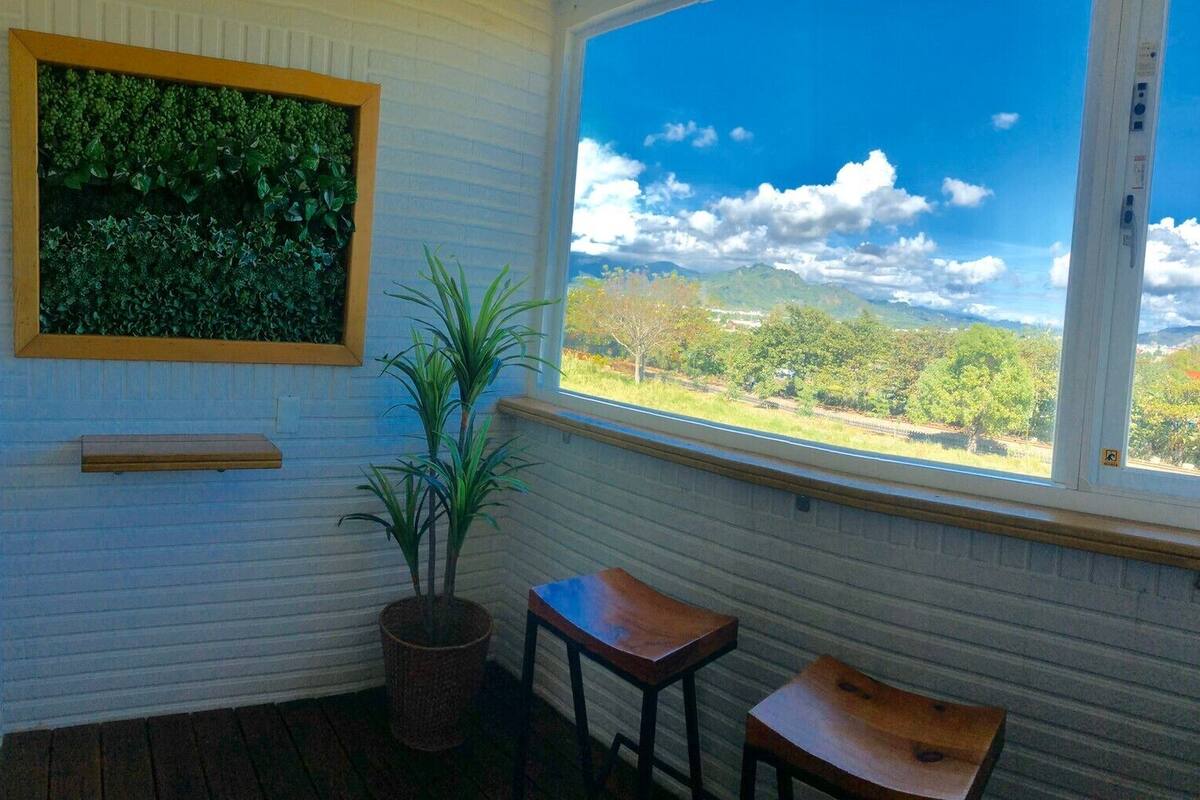 A room with a view of a landscape, a potted plant, and a small table.