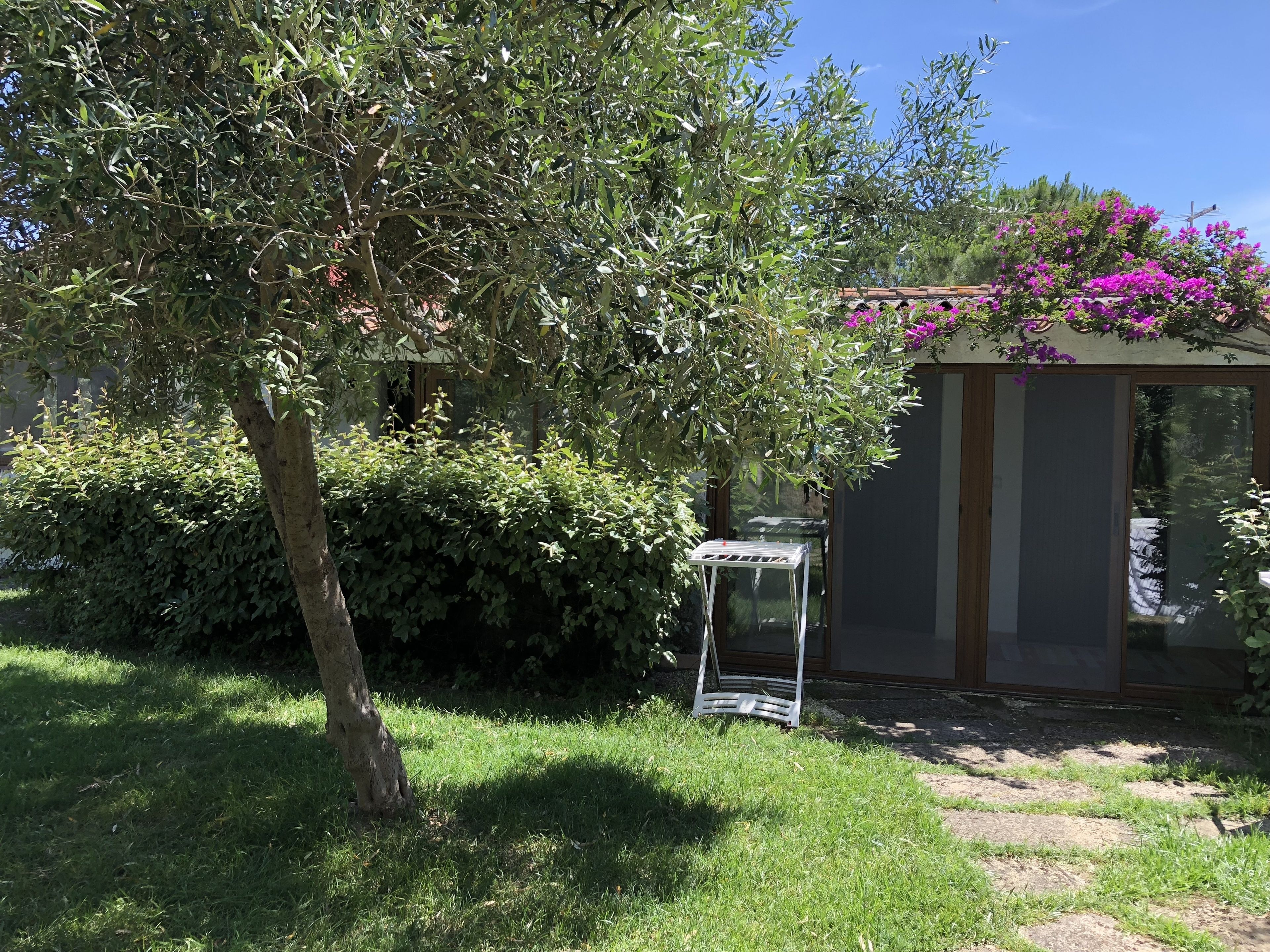 A garden with a tree, a small white table, and a building with purple flowers.