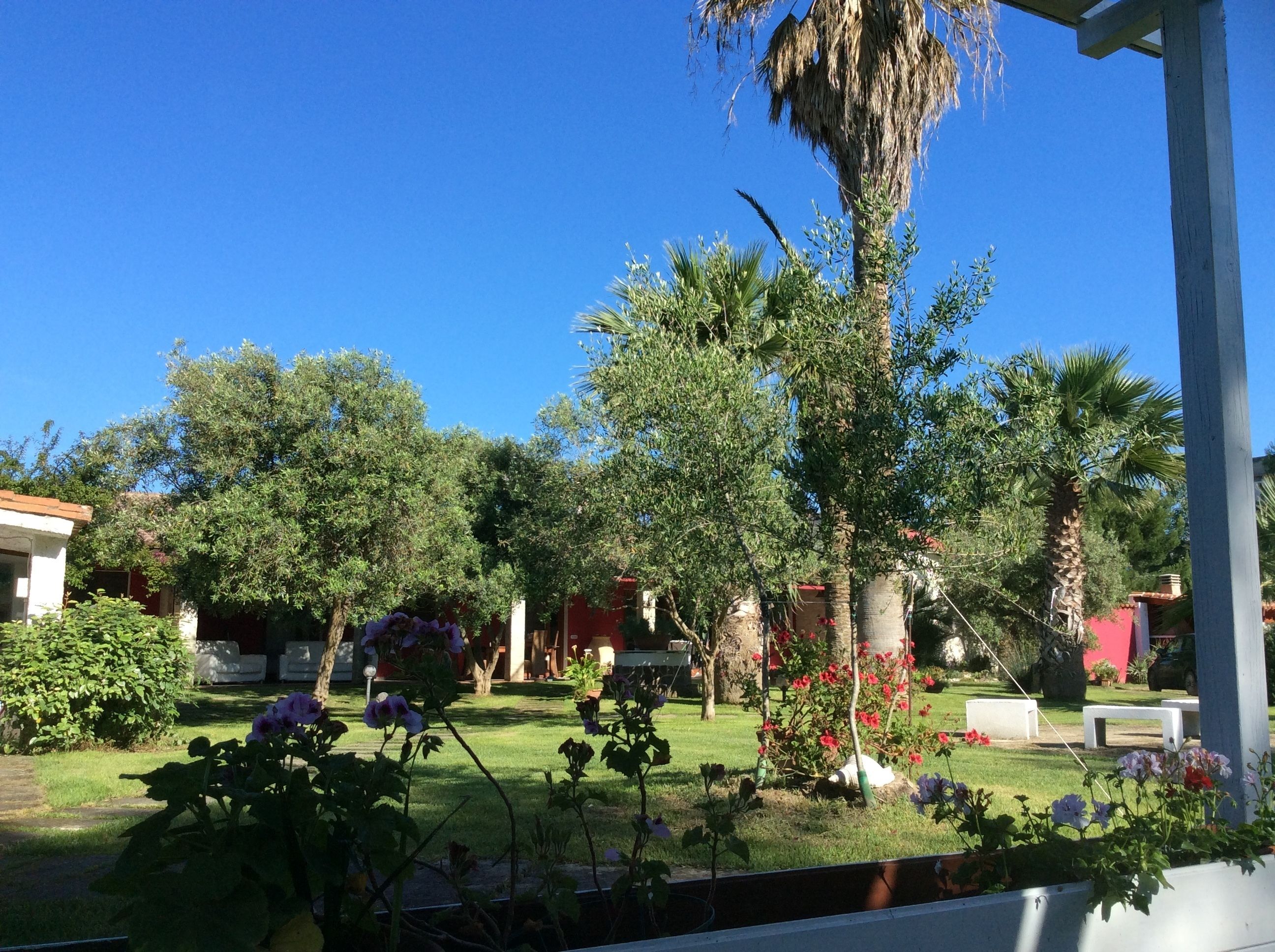 Ein Garten mit Bäumen, einer Rasenfläche und einigen Bänken.