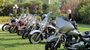 Motorräder stehen in einer Reihe auf einer Rasenfläche, neben ihnen steht eine Person.
