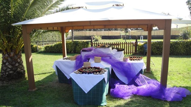 Een evenement buiten, met een overdekte feesttent, tafels vol eten en een palmboom.