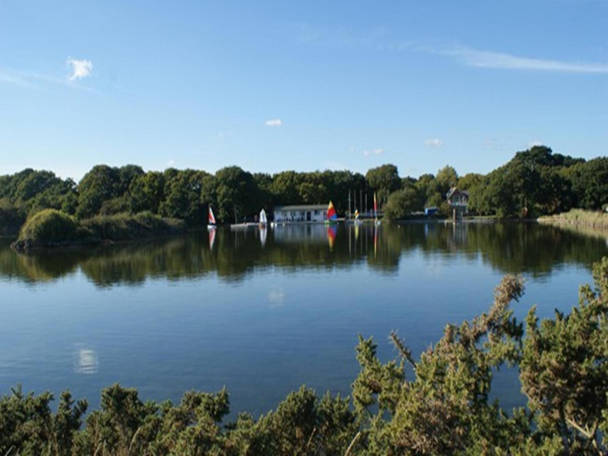 A calm lake with a dock and sailboats, surrounded by dense trees and a clear sky.