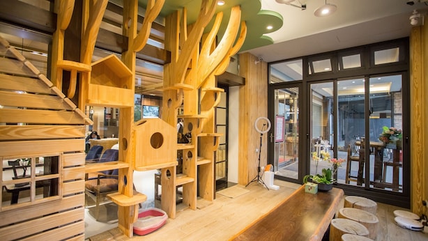 A modern interior with wooden furniture, a staircase, and large windows. - Mei Jia Mei Hotel (Jiaoxi)