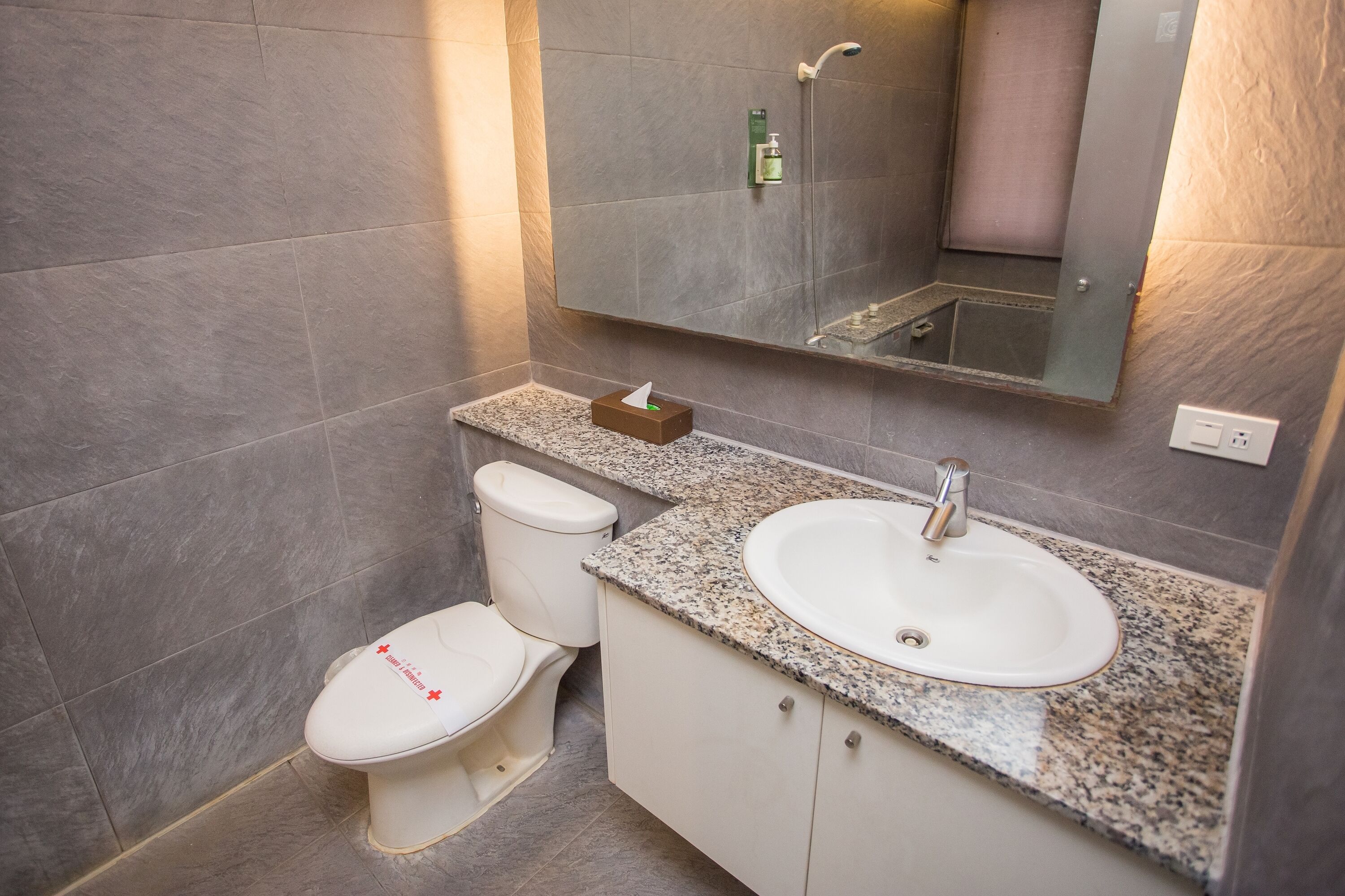 A bathroom with a white toilet, a sink with a granite countertop, and a mirror above the sink.