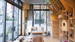 A modern interior with large windows, a wooden bench, and birdhouse displays. - Mei Jia Mei Hotel (Jiaoxi)