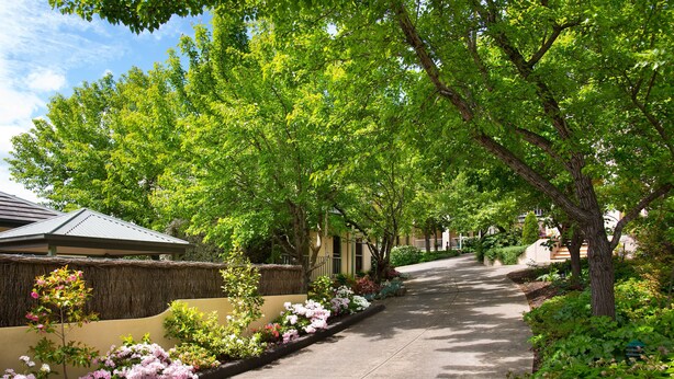 Property grounds - Courthouse Merindah 4 (Daylesford)