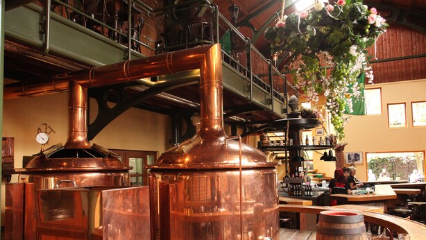 A brewery with copper brewing equipment, a bar area, and hanging floral decorations. - Hotel zum Brauhaus Lüdde (Quedlinburg)