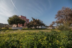 Garden - Gratsias Luxury Apartments (Naxos)