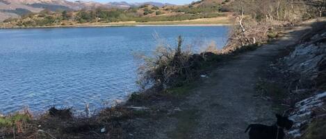 Una vista despejada de un lago con un sendero que lleva a una zona cubierta de césped.