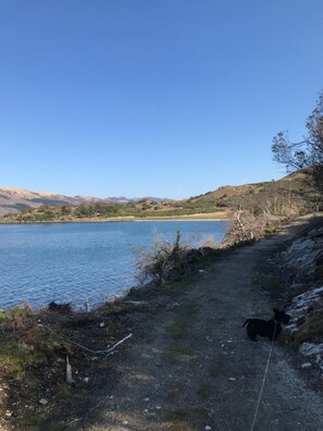 Una vista despejada de un lago con un sendero que lleva a una zona cubierta de césped.