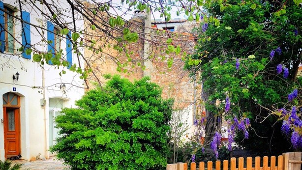 Ein Innenhof mit einer Steinmauer, einem Holzzaun und verschiedenen Pflanzen, darunter ein großer Busch und violette Blumen.