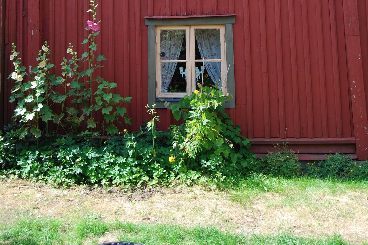 Apartment (Gårdshuset)