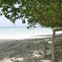 Am Strand, Strandbar